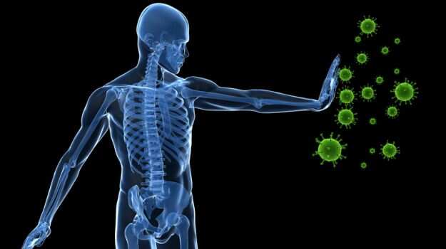 Navratri 2020: नवरात्रि में व्रत करने से कमजोर न हो Immunity, मजबूत इम्यून सिस्टम के उपवास में खाएं ये 5 चीजें!