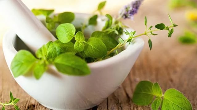 Hair Fall Control: Fight hair fall naturally with ayurvedic herbs