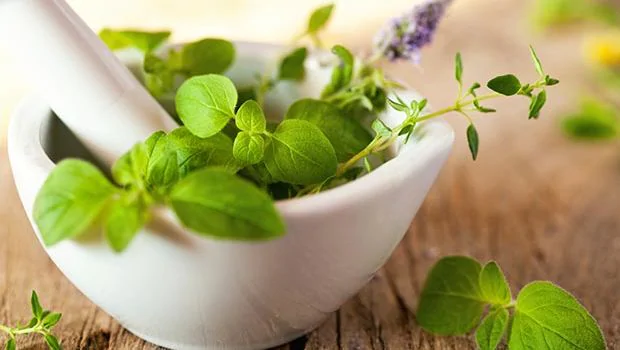 Hair Fall Control: Fight hair fall naturally with ayurvedic herbs