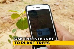 This NGO Helps People Plant Trees Virtually This NGO Helps People Plant Trees Virtually