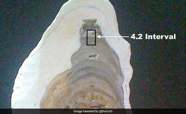 Scientists Discover New "Meghalayan Age" In Earth's History