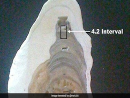 Scientists Discover New "Meghalayan Age" In Earth's History Scientists Discover New "Meghalayan Age" In Earth's History