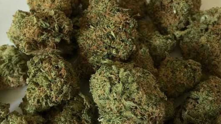 Ganja Worth Rs 40 Crore Seized At Hyderabad Airport, Woman Arrested