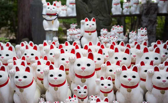 Tokyo's "Lucky Cat" Temple Is An Instagrammer's Favourite Destination