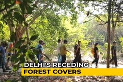 Monsoon Wooding Gives A New Lease Of Live To Airshed Park In Delhi Monsoon Wooding Gives A New Lease Of Live To Airshed Park In Delhi