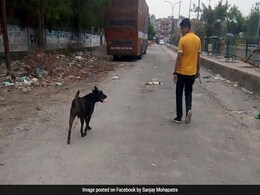 बुराड़ी केस में 11 मौतों के 22 दिन बाद परिवार के पालतू कुत्ते की मौत, जानें, क्या थी वजह बुराड़ी केस में 11 मौतों के 22 दिन बाद परिवार के पालतू कुत्ते की मौत, जानें, क्या थी वजह
