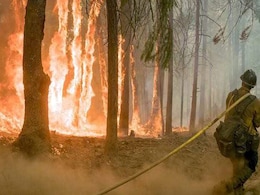 Underground Fire In Uttar Pradesh Forest Triggers Panic Among Villagers Underground Fire In Uttar Pradesh Forest Triggers Panic Among Villagers