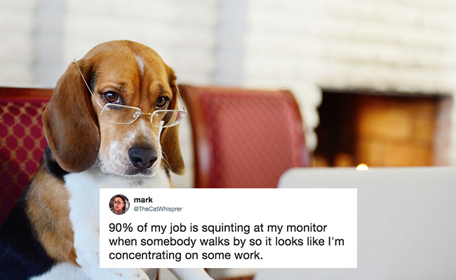 On Work Like A Dog Day, Just 10 Hilarious Tweets For Every Office-Goer
