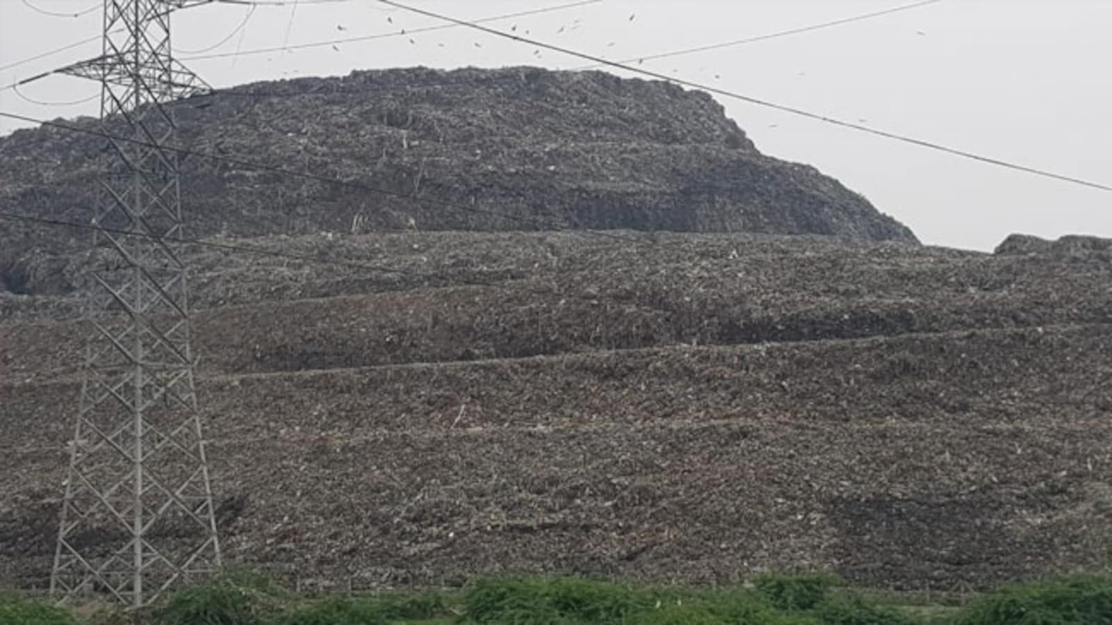 Delhi's Waste Management Challenges Persist Despite Cleanup Efforts