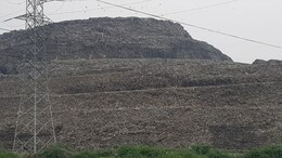 Half Of Delhi's Daily Waste Still Reaches Landfills Despite Cleanup Drive