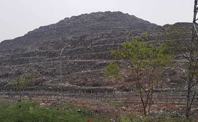 Will Take At Least 10 Years To Clear Ghazipur Landfill: Delhi Civic Body