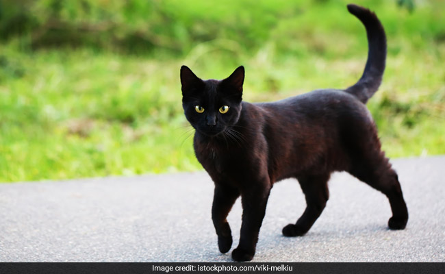 6 Superstitions From Around The World On Friday The 13th
