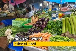 फल सस्ते, सब्जियां महंगी फल सस्ते, सब्जियां महंगी