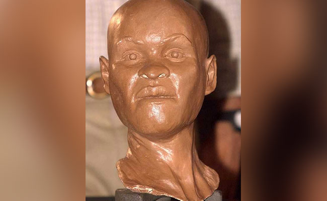 12,000-Year-Old Fossil, Brazil's First Human, Destroyed In Museum Fire