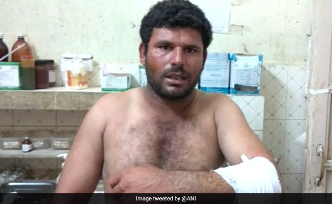 In Gujarat's Amreli, Dog Saves Shepherd From Lion Attack