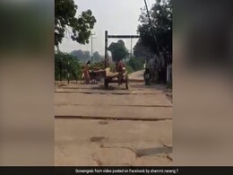 VIDEO: ट्रैफिक के बीच तूफान की तरह चलाई घोड़े ने गाड़ी, पास तक न आ सका कोई VIDEO: ट्रैफिक के बीच तूफान की तरह चलाई घोड़े ने गाड़ी, पास तक न आ सका कोई