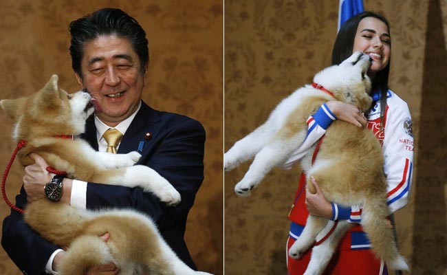 16-Year-Old Olympic Skating Star Gets Akita Dog From Japan's PM