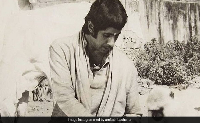 जब लंगूर ने जड़ा अमिताभ बच्चन को थप्पड़, सुनाई आप बीती