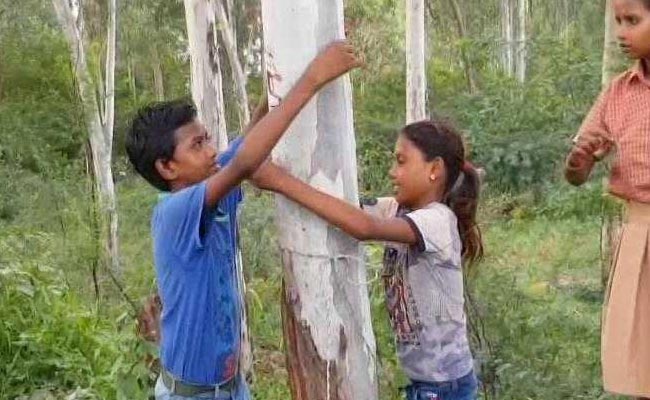 <i>Rakhis</i> And Hugs For Trees As Noida Protests Destruction Of Its Green Belt