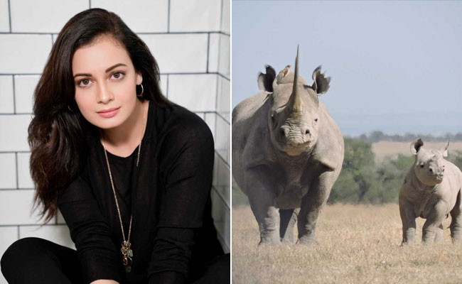 दीया मिर्जा है इस 'बेबी गैंडे का नाम, 'संजू' फेम एक्ट्रेस का यूं आया रिएक्शन...