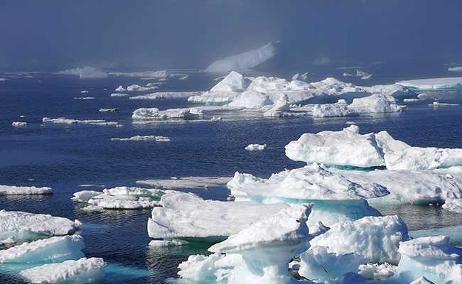 In The Deepest Arctic, Sled Dogs, Polar Bears, Famed Seed Vault Face Melting Snow, Ice