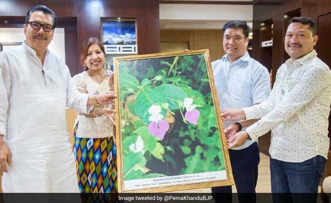 New Flower Species Named After Former Arunachal Chief Minister
