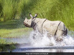 7 Most Popular Wildlife Destinations In Assam 7 Most Popular Wildlife Destinations In Assam