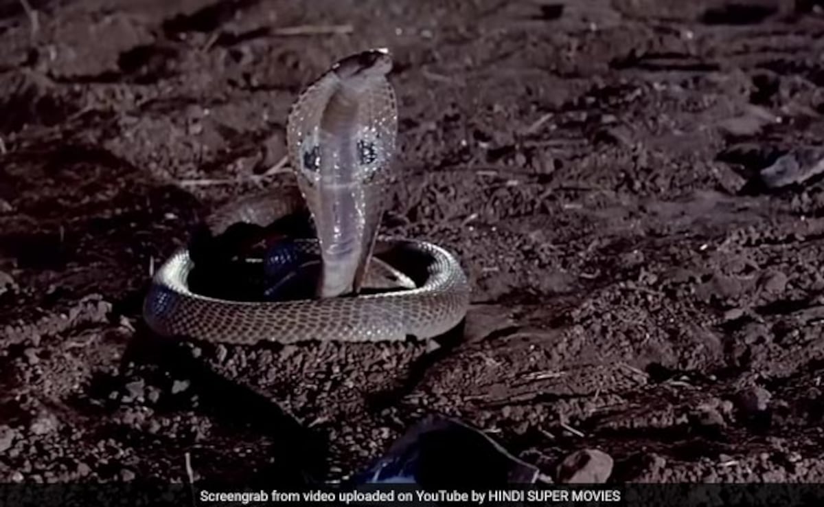 Latest and Breaking News on NDTV Latest and Breaking News on NDTV