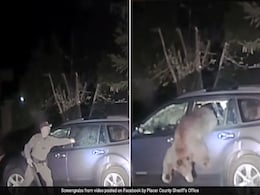 Watch: Cop Smashes Open Car Window To Free Bear Trapped Inside Watch: Cop Smashes Open Car Window To Free Bear Trapped Inside