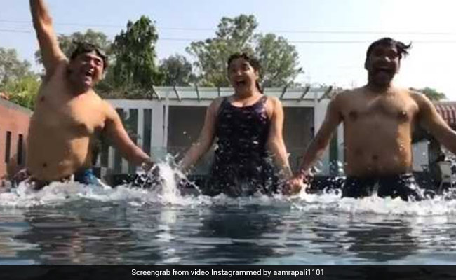 निरहुआ और रवि किशन संग पूल में यूं मस्ती करती नजर आईं आम्रपाली दुबे, वीडियो हुआ Viral