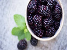 Healthy Lungs Diet: फेफड़ों को हमेशा हेल्दी और मजबूत रखने के लिए क्या खाएं और क्या न खाएं? आज ही जान लें! Healthy Lungs Diet: फेफड़ों को हमेशा हेल्दी और मजबूत रखने के लिए क्या खाएं और क्या न खाएं? आज ही जान लें!
