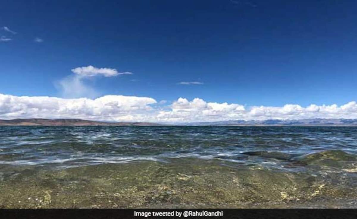 Latest and Breaking News on NDTV Latest and Breaking News on NDTV