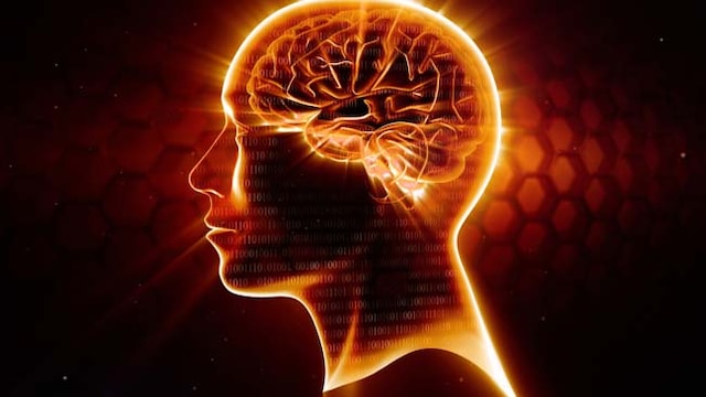 Your lifestyle habits and choices greatly influence your brain health