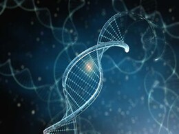 Weight Loss Tips: Can Genetically Slow Metabolism Be Improved? Weight Loss Tips: Can Genetically Slow Metabolism Be Improved?