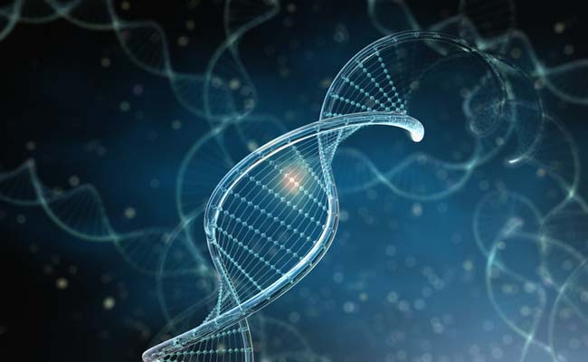 Metabolism is greatly influenced by our genetics