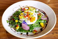 Burrata Salad Burrata Salad