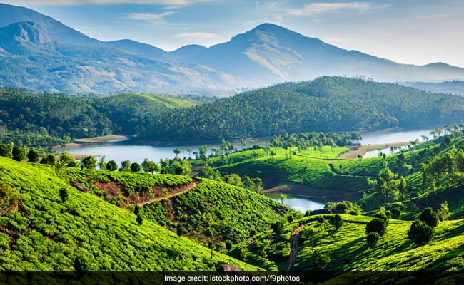 4 Things You Shouldn't Miss Doing In Munnar