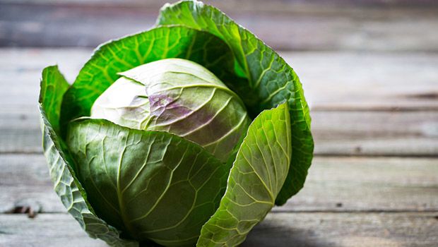 Cruciferous vegetables like cabbage contain many different antioxidants