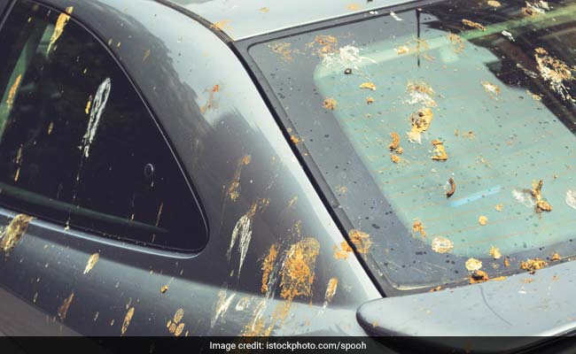 Liquid Human Poop Fell From The Sky, Claim Residents Of This City