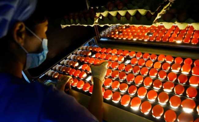 china s chickens reuters