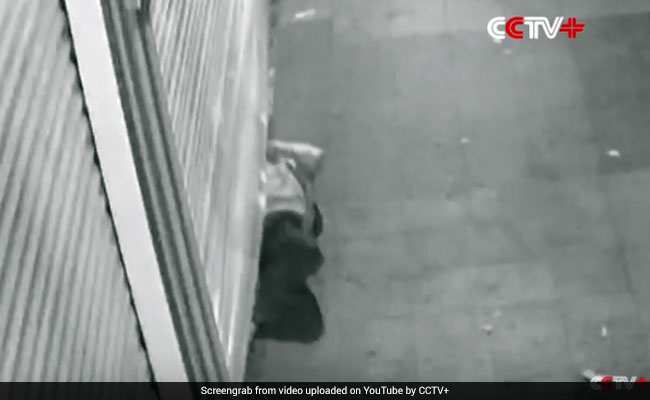 Video: Thief Squeezes Through Store Shutter. Jewellery Worth $53,000 Gone