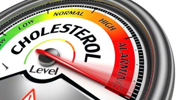 High Cholesterol And Unhealthy Fat May Lower Fertility In Women, Here’s How