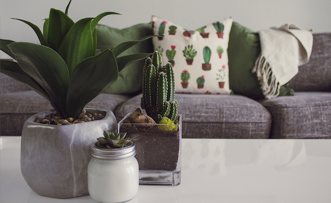 3 Places In Your House You're Probably Forgetting To Clean