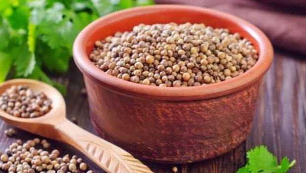 Here's How Consuming Coriander Seeds Can Improve Urinary Tract Infection