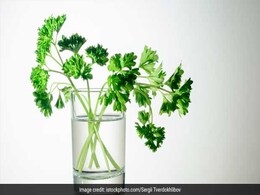 Weight-Loss: How To Make Lemon- Coriander Detox Drink For Weight Loss  Weight-Loss: How To Make Lemon- Coriander Detox Drink For Weight Loss