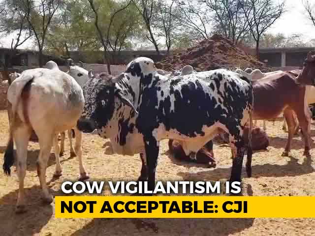 "Cow Vigilantism Unacceptable, Don't Link Victims To Religion": Top Court