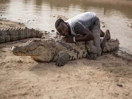 Sacred Snappers: In This African Village, People Sit, Lie On Crocodiles Sacred Snappers: In This African Village, People Sit, Lie On Crocodiles