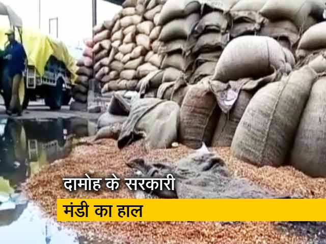 किसानों पर सरकारी सिस्टम की मार, बारिश में भीगा हज़ारों क्विंटल चना