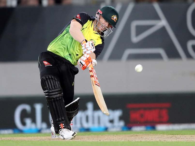 David Warner To Play Caribbean Premier League For St Lucia Stars