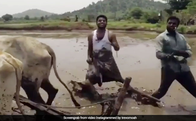 Telangana Farmers Crowned Kiki Challenge Winners By The Internet